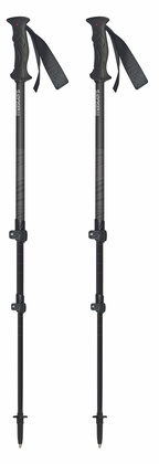 Универсальные туристические палки Masters Ranger Anthracite